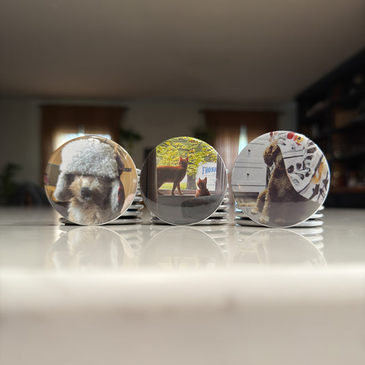 2.25 inch Round Custom Photo Magnet